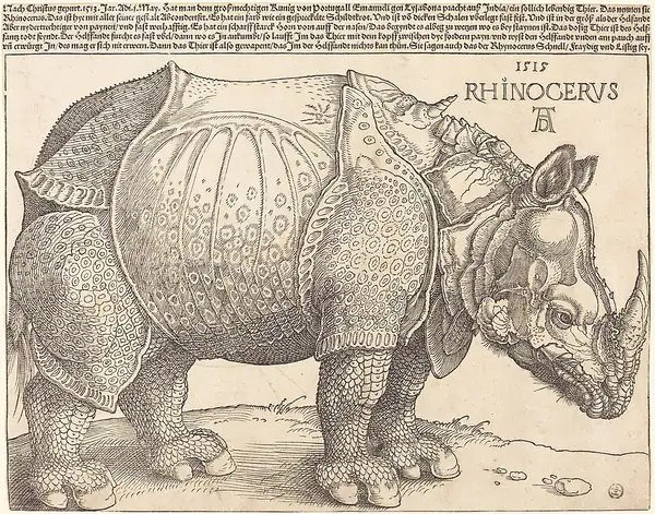 Woodcut "The Rhinoceros", Albrecht Dürer (1515)
